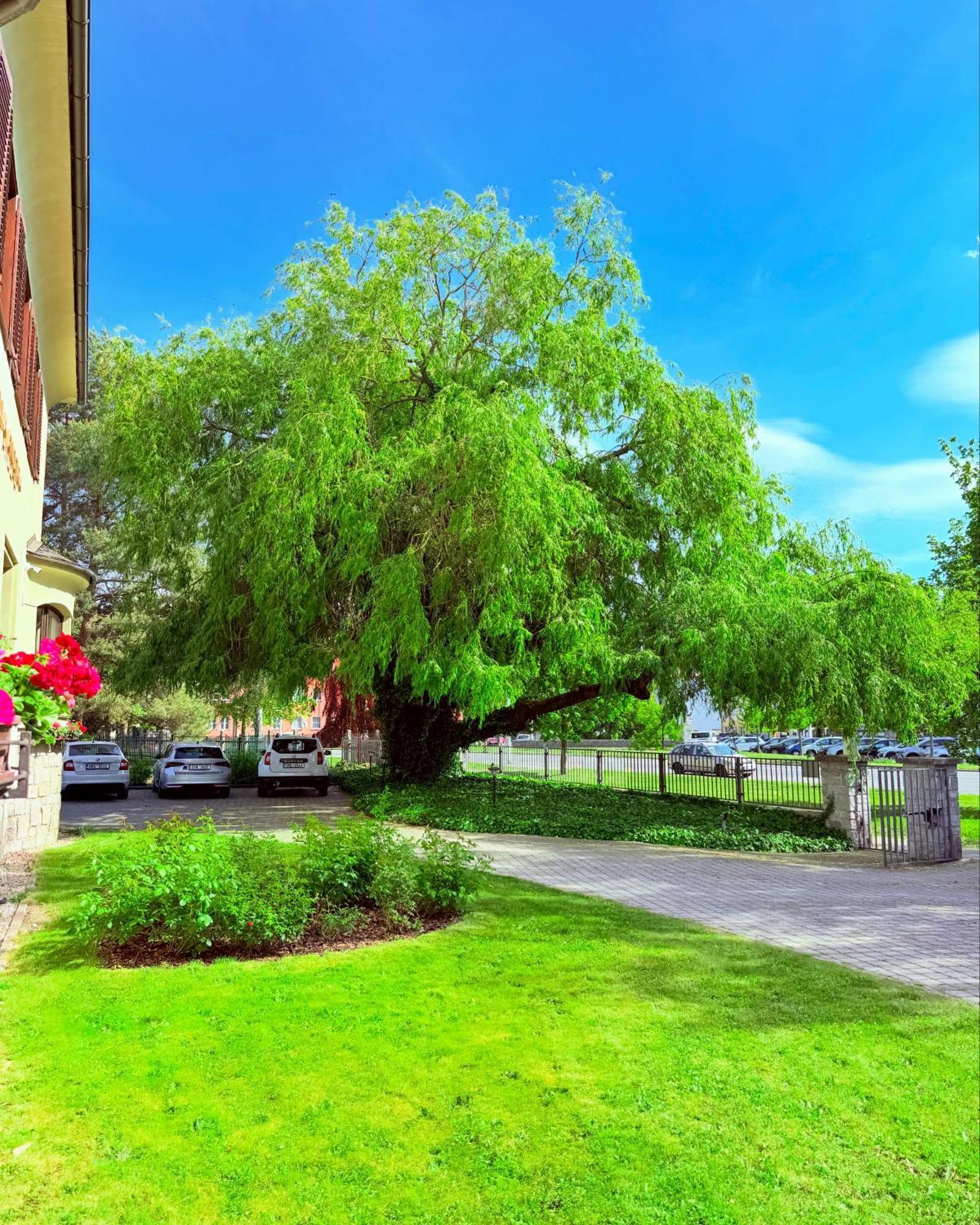 Penzion Villa Ancora Šumperk Esterno foto